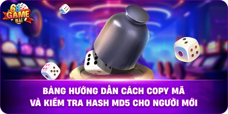 Bảng hướng dẫn cách copy mã và kiểm tra Hash MD5 cho người mới.